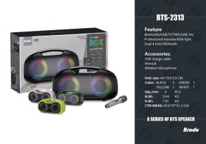IMG_5676 Brodu Bts 2313 Portable Professional Karaoke Bluetooth Speaker With 1 Wireless Mic & Display & RGB Light / Aux / 2 Mic In Jack & 1 Guitar jack & 1 Mic Jack / Usb & SD Card & Aux Slot / Carry Handle – Lime Green